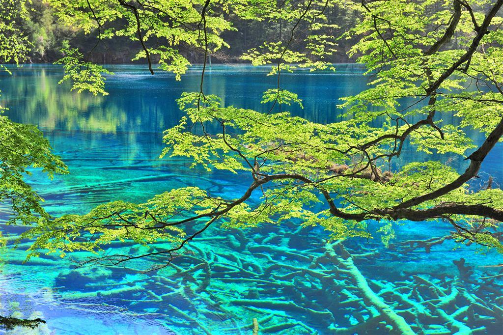Sheraton Jiuzhaigou Resort Ανέσεις φωτογραφία