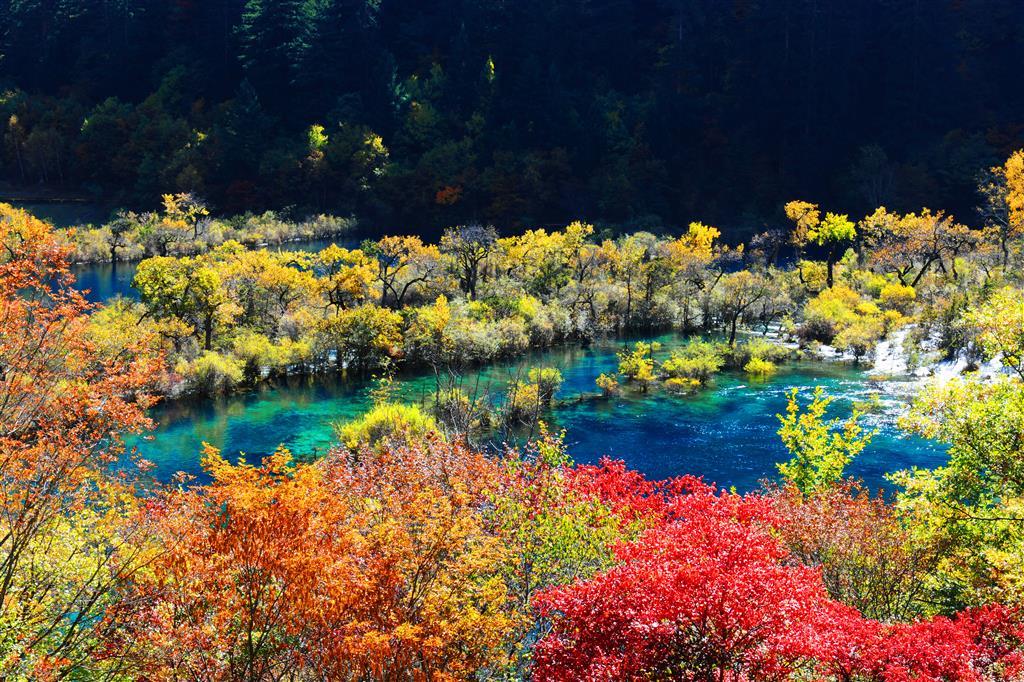 Sheraton Jiuzhaigou Resort Ανέσεις φωτογραφία